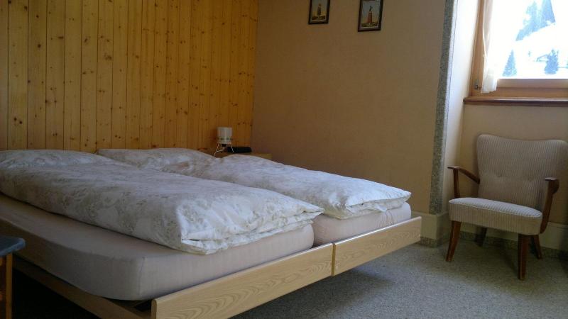 Hotel Baeren - Oda