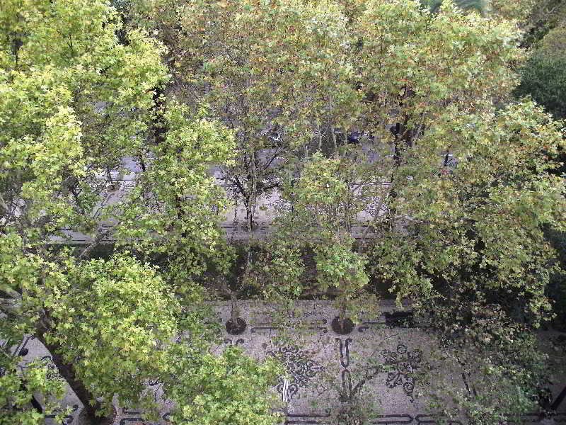 Dom Sancho I otel fotoğrafı