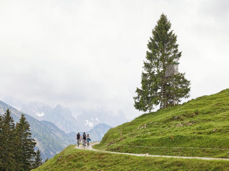 Das Walchsee Sportresort - Aktivite
