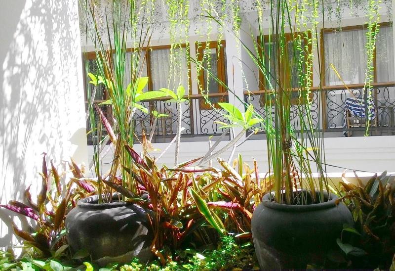 Seminyak Lagoon All Suites Hotel - Genel
