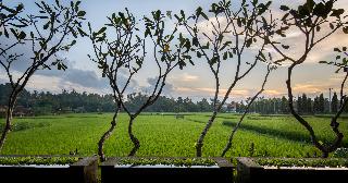 Villa Kayu Lama Ubud fotoÄŸrafÄ±