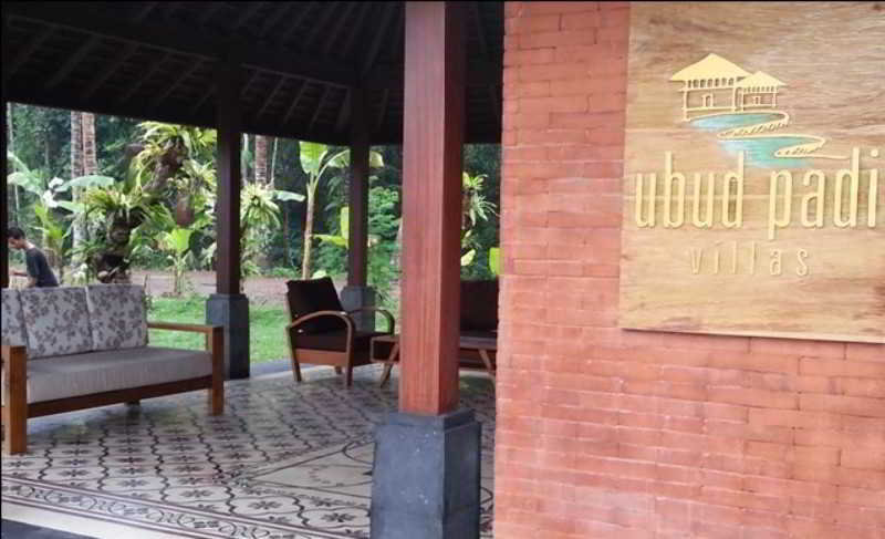 Ubud Padi Villas fotoÄŸrafÄ±
