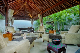 Ubud Padi Villas otel fotoğrafı