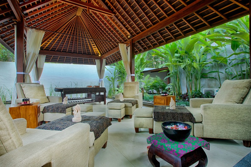 Ubud Padi Villas - Genel
