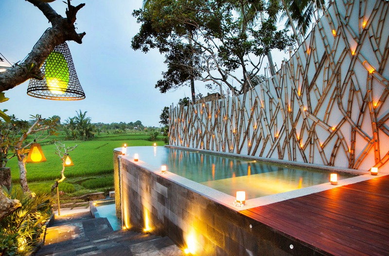 Ubud Padi Villas - Havuz