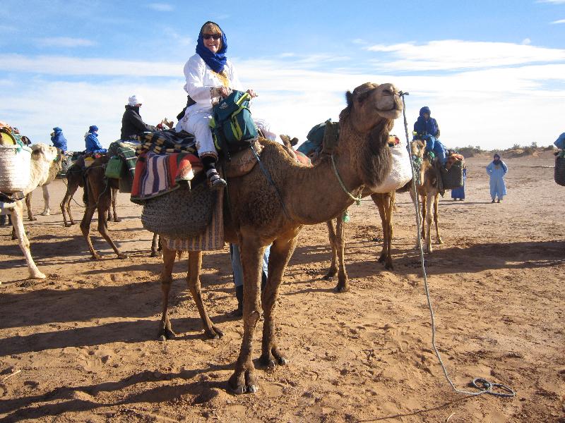Dar Azawad - Aktivite