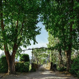 Unique Quinta Bouça Darques fotoÄŸrafÄ±
