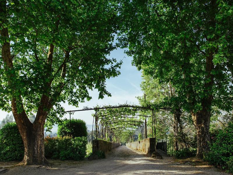 Unique Quinta Bouça Darques - Genel
