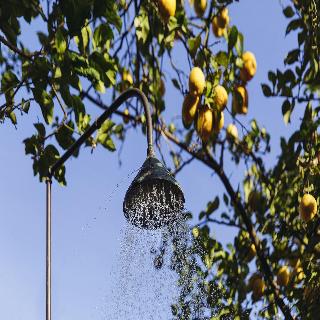 Unique Quinta Bouça Darques fotoÄŸrafÄ±
