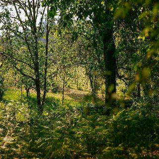 Unique Quinta Bouça Darques fotoÄŸrafÄ±