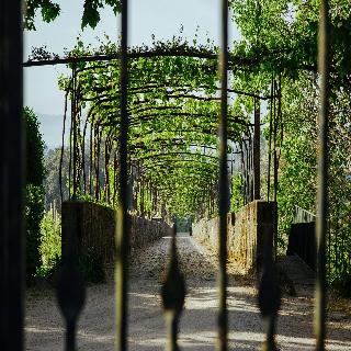 Unique Quinta Bouça Darques fotoÄŸrafÄ±
