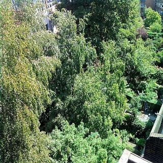 Baan Hotel otel fotoğrafı