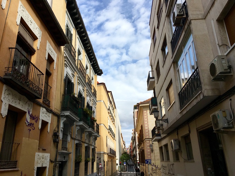 Jemasaca Palma 61 - Genel