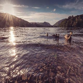 Dale Lodge fotoÄŸrafÄ±