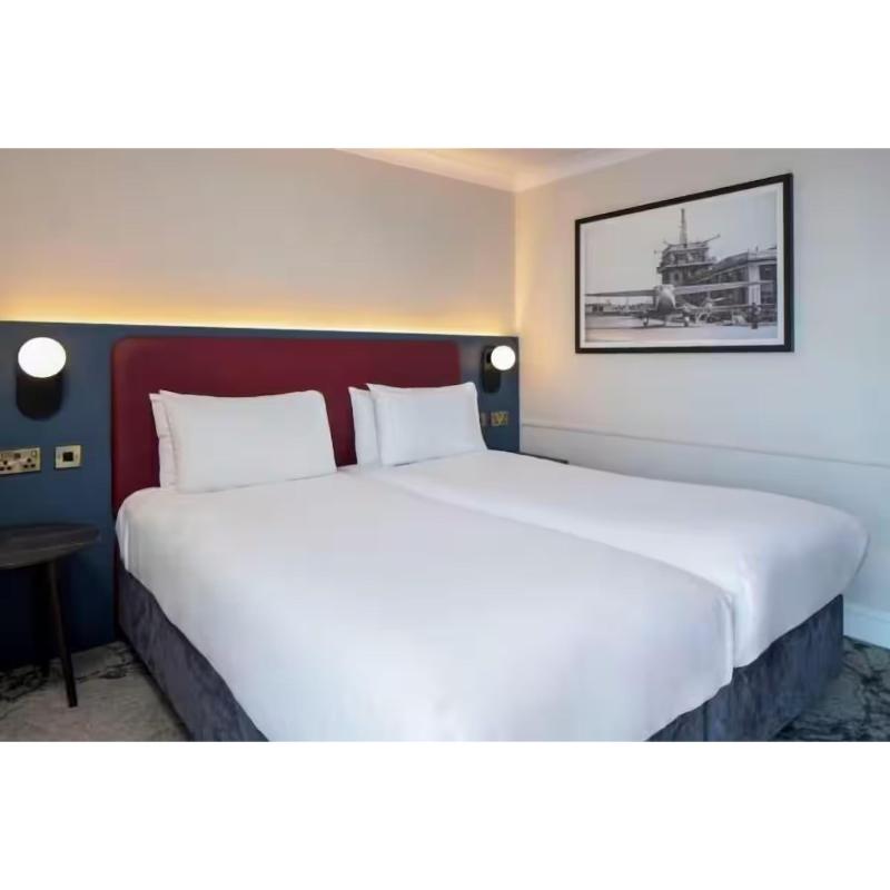 London Croydon Aerodrome Hotel by Sunday - Oda