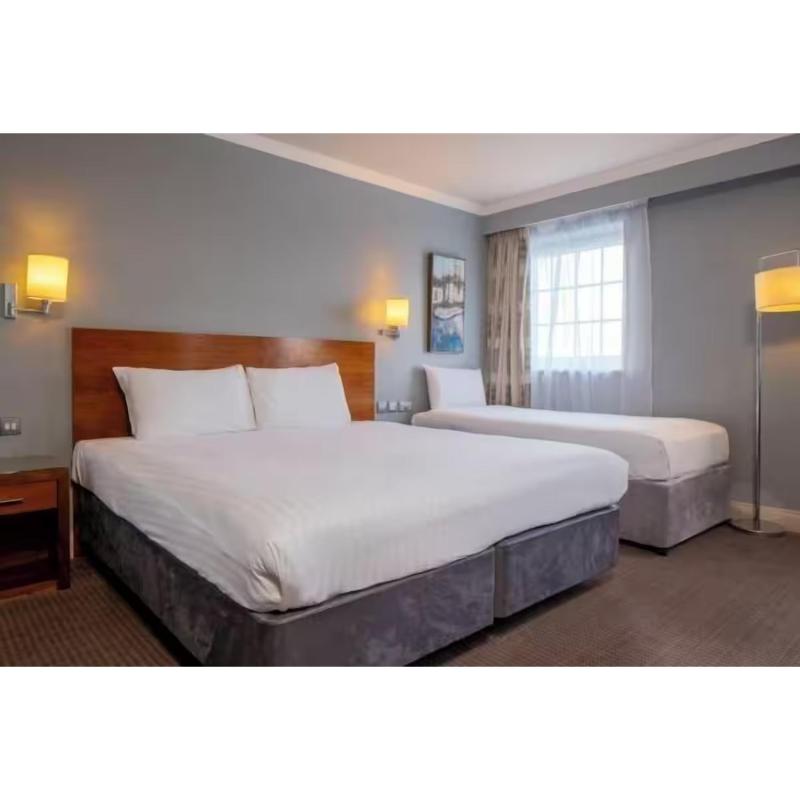 London Croydon Aerodrome Hotel by Sunday - Oda