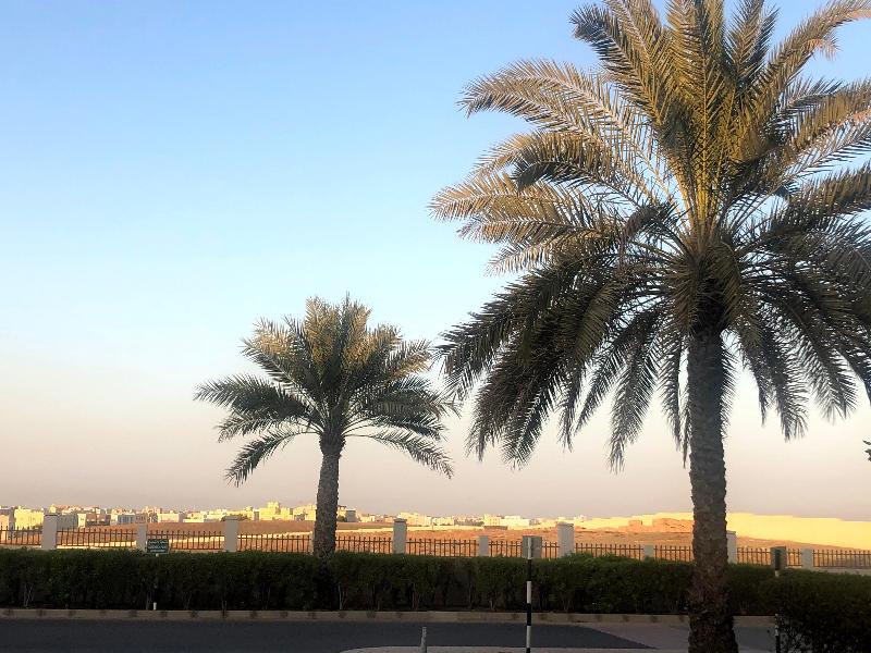 Crowne Plaza Sohar - Genel