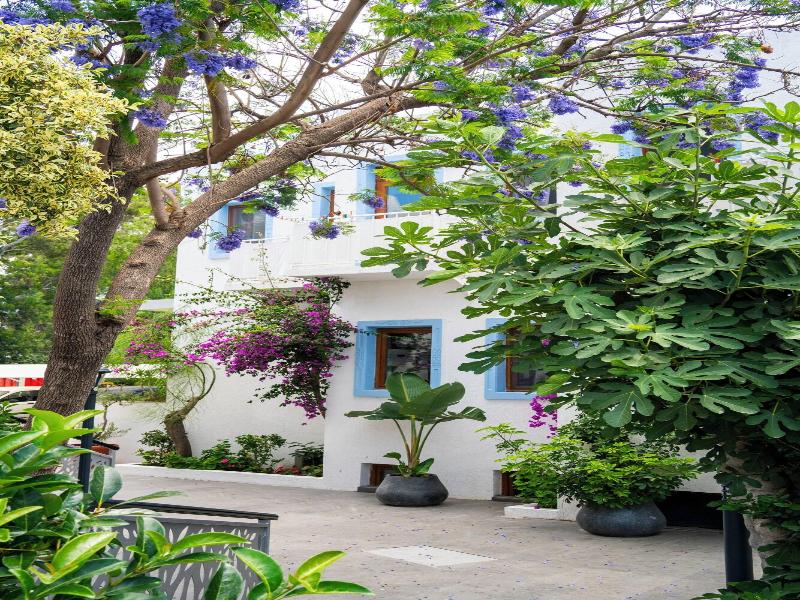 Manuela Hotel - Genel