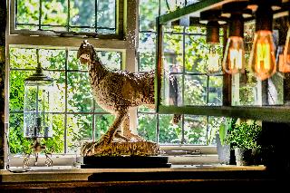 The Pheasant Inn fotoÄŸrafÄ±
