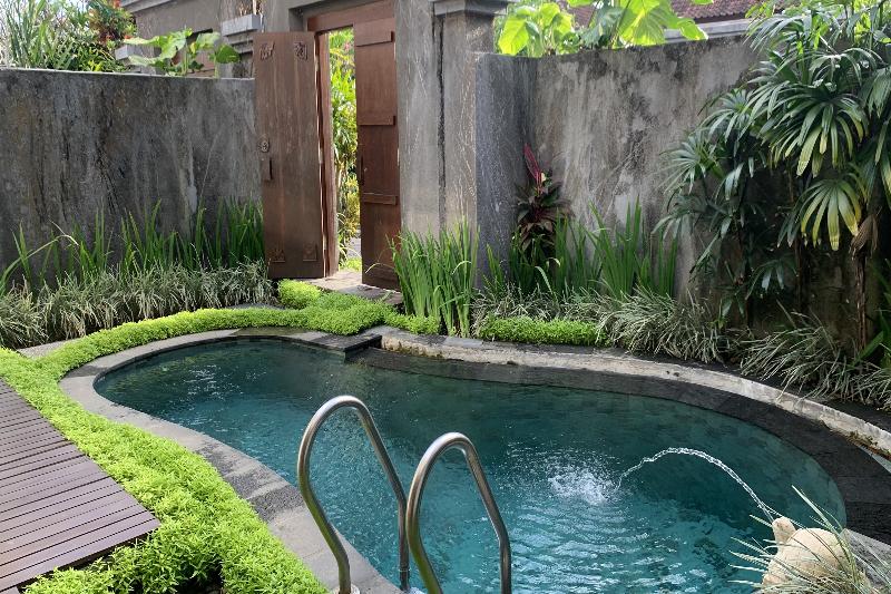 Ladera Villa Ubud by Zuzu - Havuz