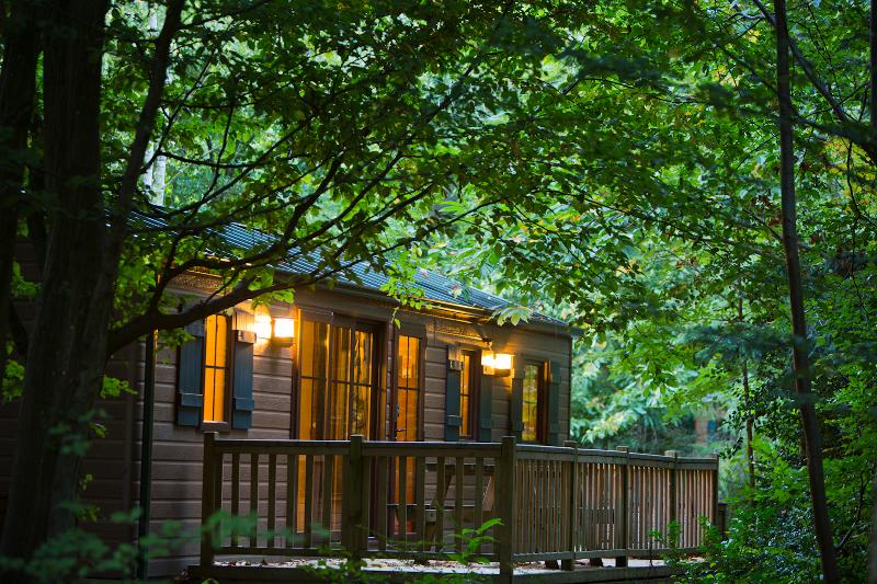 Disney Davy Crockett Ranch + Bilet - Genel