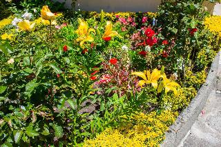 Estoril Porto fotoÄŸrafÄ±