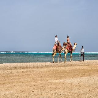 Swisstouch Oriental Resort fotoÄŸrafÄ±