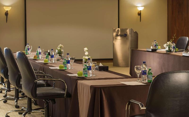 Radisson BLU Alexandria Hotel - Toplantı
