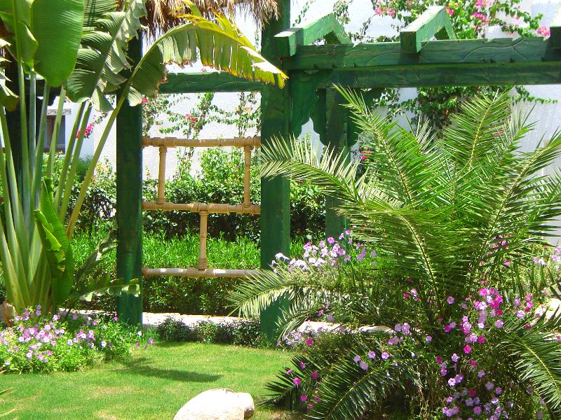 Delta Sharm Resort - Genel