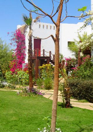 Delta Sharm Resort fotoÄŸrafÄ±