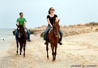 Swissotel Resort El Quseir fotoÄŸrafÄ±