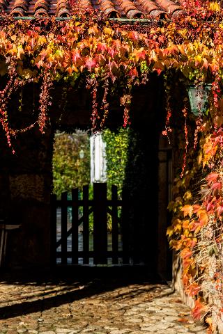 Quinta Da Roseira otel fotoğrafı