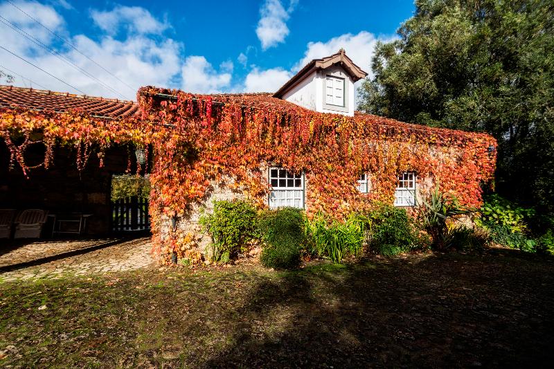 Quinta Da Roseira - Genel