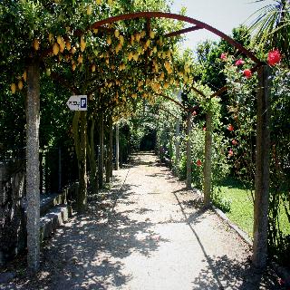Quinta De Santa Comba fotoÄŸrafÄ±