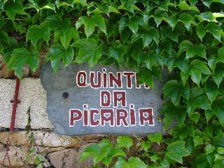Quinta Da Picaria fotoÄŸrafÄ±