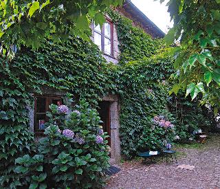 Quinta Da Picaria fotoÄŸrafÄ±