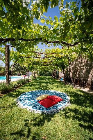 Quinta De Santa Baia fotoÄŸrafÄ±