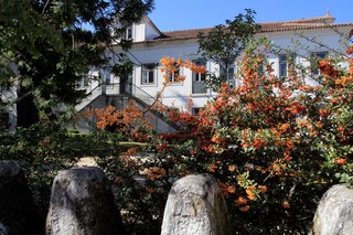 Casa De Mogofores fotoÄŸrafÄ±