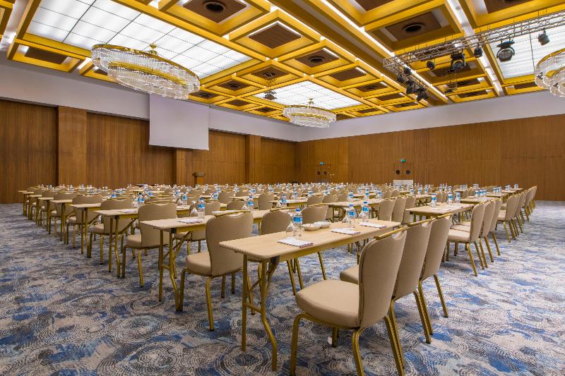Crowne Plaza KAYSERI - Toplantı