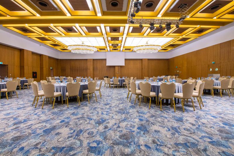 Crowne Plaza KAYSERI - Toplantı