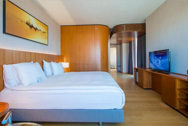 Crowne Plaza KAYSERI - Oda