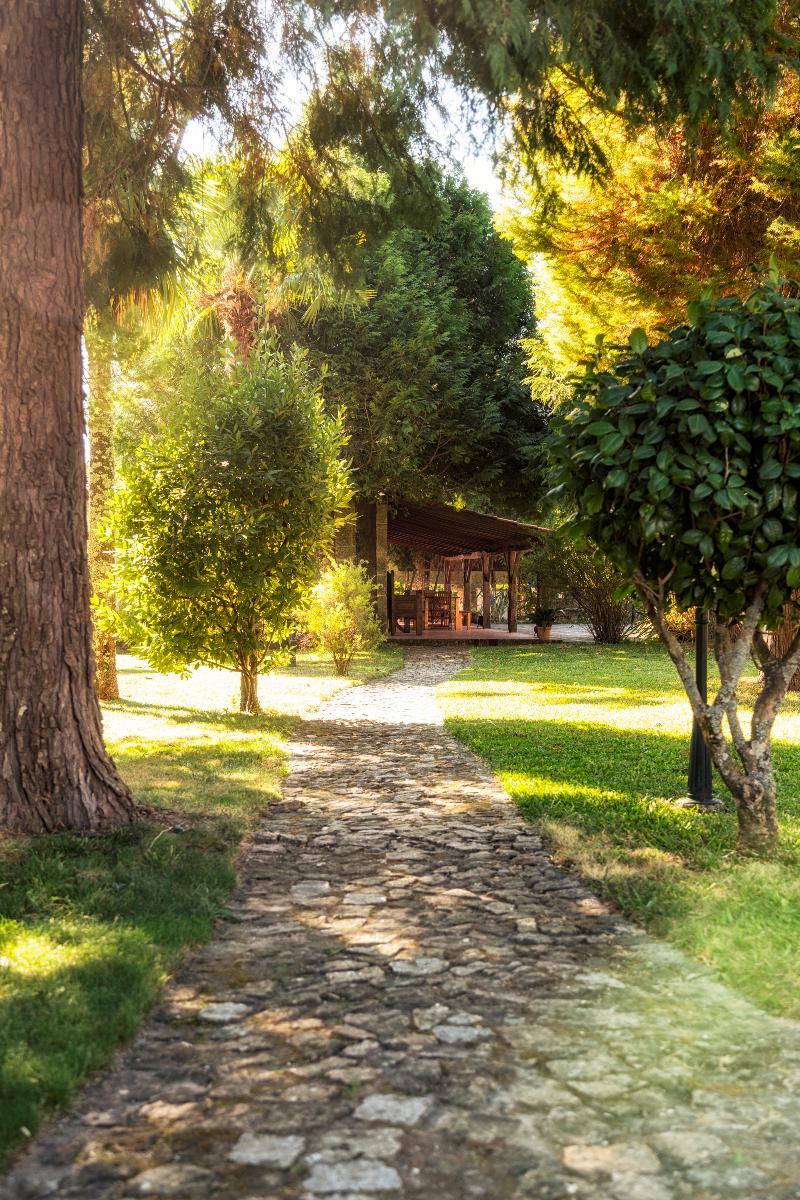 Casa Das Paredes - Genel