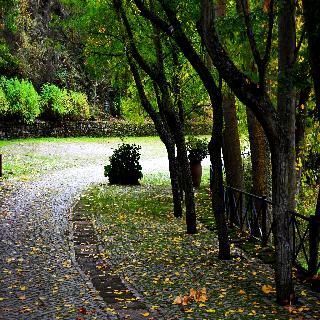 Quinta Da Mata fotoÄŸrafÄ±