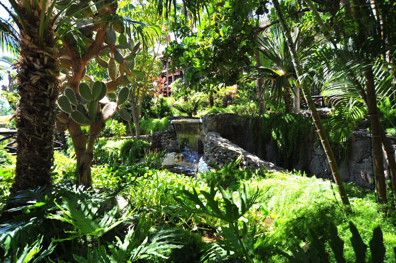 Parque Tropical - Genel