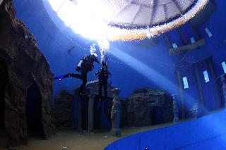 Friendly Cityhotel Oktopus fotoÄŸrafÄ±