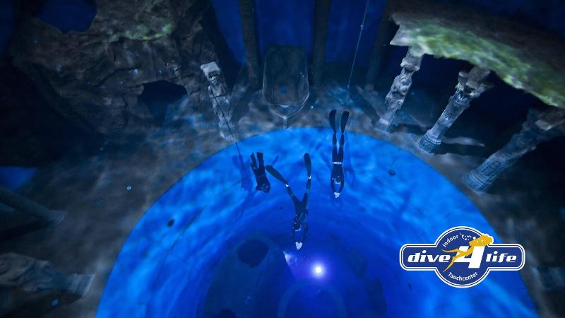 Friendly Cityhotel Oktopus - Aktivite