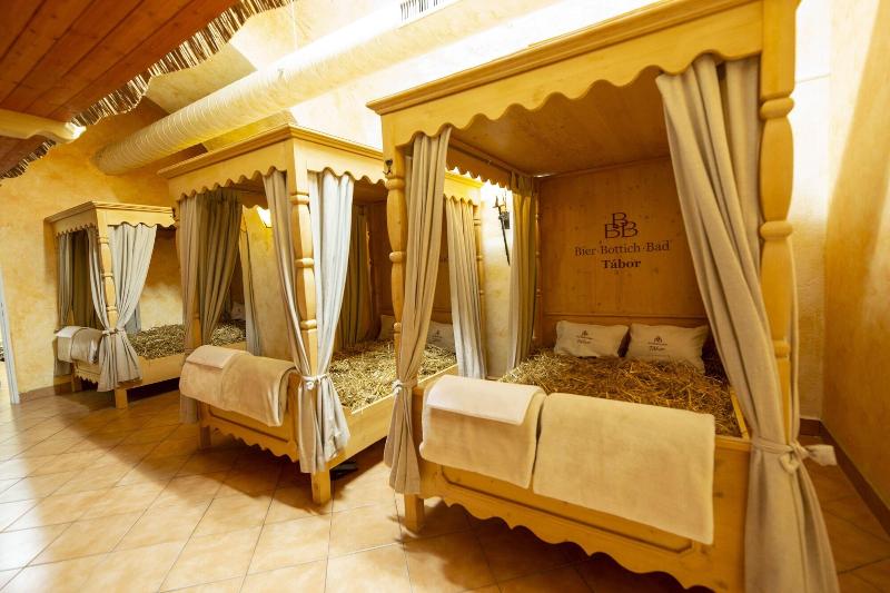 LH Hotel Dvorak Tabor - Aktivite