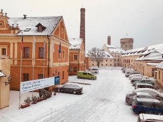 LH Hotel Dvorak Tabor otel fotoğrafı