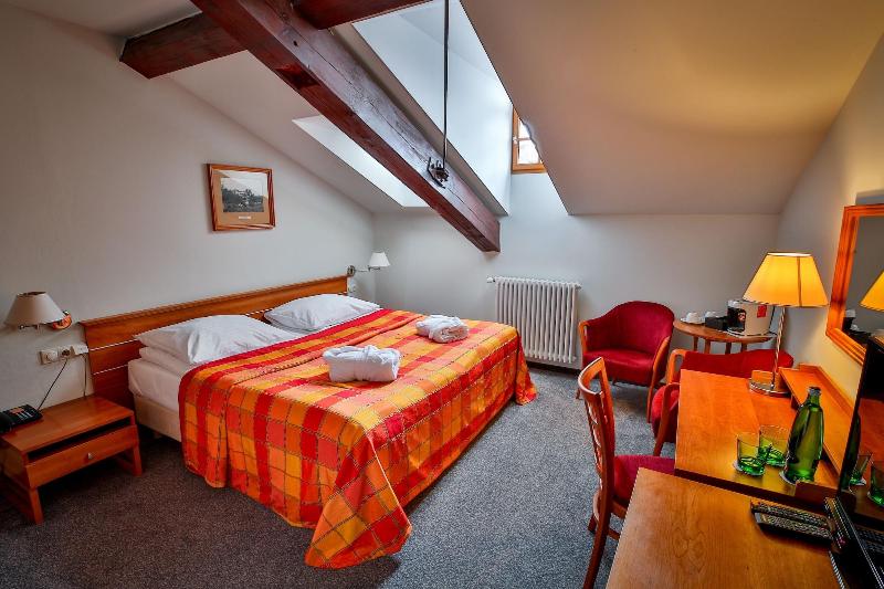 LH Hotel Dvorak Tabor - Oda