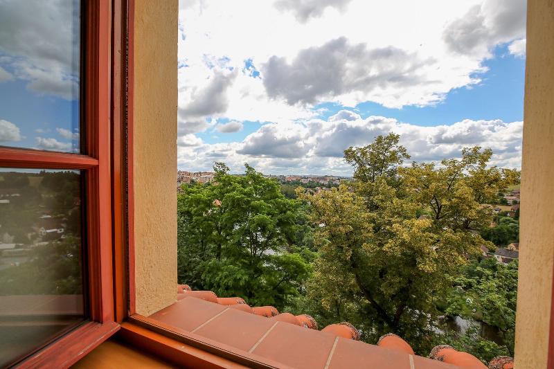 LH Hotel Dvorak Tabor - Oda